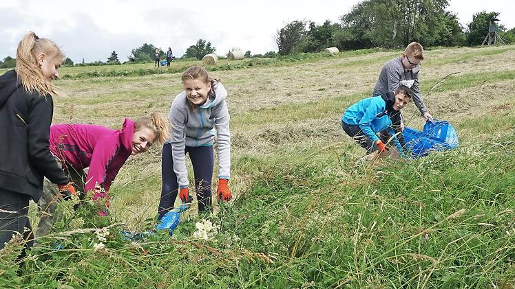 Schüler der Werner-von-Siemens-Realschule Bad Neustadt waren zum Naturschutz-Arbeitseinsatz in der Rhön unterwegs.  Foto: Marion Eckert