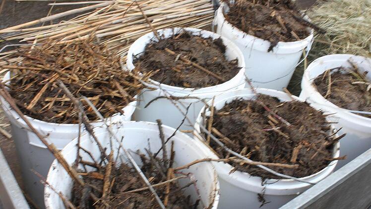 Sechs Eimer Lehm und Mist aus einem Horst