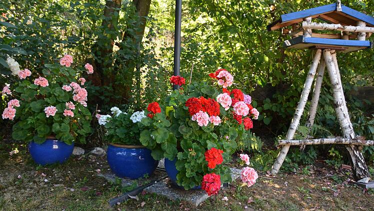 Der Traumgarten der Familie Müller in Kulmbach-Ziegelhütten.  Foto: Dagmar Besand