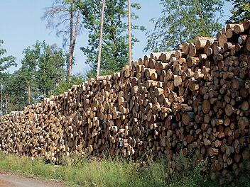 Ein großer Trockenlagerplatz für Nadelholz wurde zum Beispiel im Industriegebiet Eltmann eingerichtet. Aber auch in den Wäldern wie hier am Rennweg bei Hofstetten (unser Bild) lagern große Mengen von Holz und warten auf die Abfuhr und Weiterverarbeitung. Zurzeit fällt enorm viel Holz an, das den Holzmarkt in die Knie zwingt.  Fotos: Günther Geiling