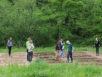 Mit dem Bilungsprogramm „Gemüseackerdemie“ lernen Schüler die Prozesse der Lebensmittelherstellung, indem sie diese selbst anbauen.