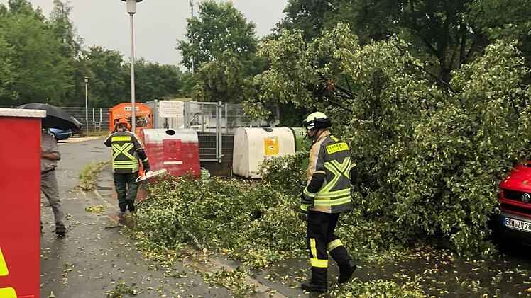 Umgestürzte Bäume musste die Feuerwehr in Adelsdorf beseitigen.  Foto: Johanna Blum