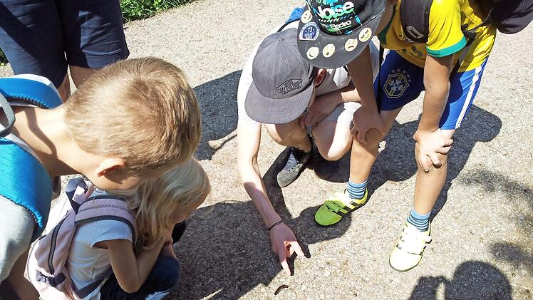Draußen-Spaß statt virtuelles Vergnügen. Umweltpädagogische Angebote stehen ganz oben auf der Jam-Liste in Strullendorf. Foto: Iso e. V. Strullendorf