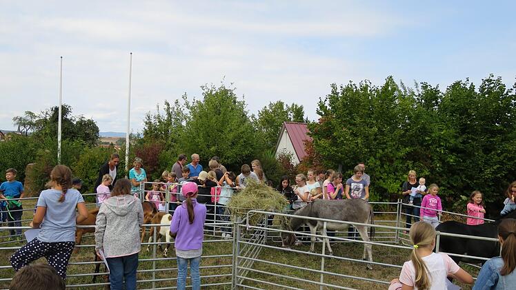 Eindrücke vom Ferienprogramm der Nüdlinger Kleintierzüchter.   Foto: Vanessa Gessner