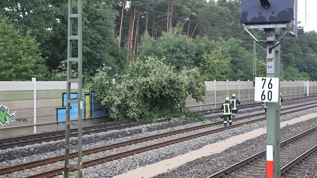 Gewitter über Mittelfranken haben Bäume umstürzen lassen. Im Landkreis Roth war eine Bahnstrecke zeitweise lahmgelegt.