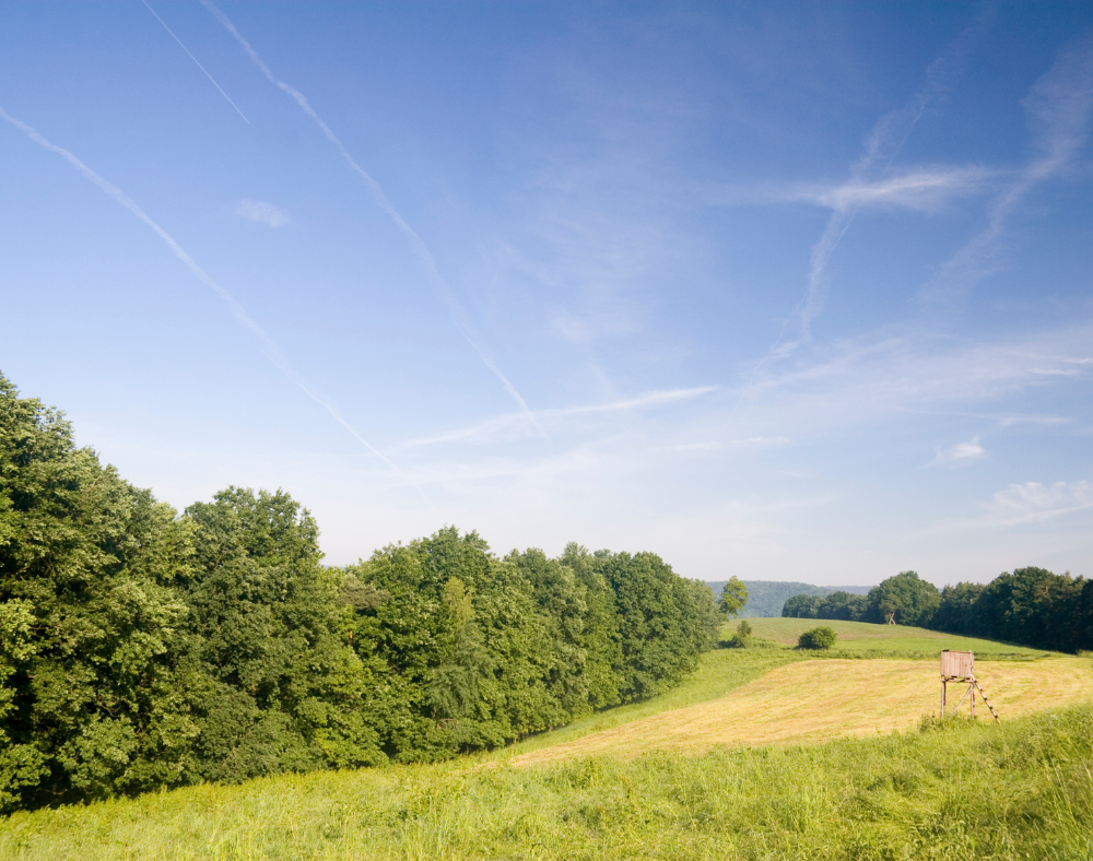saale-holzland-kreis