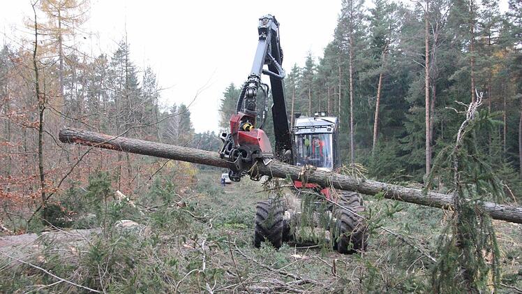 Mit dem Harvester werden die Bäume gefällt, entastet und abgelängt. Foto: Friedwald Schedel