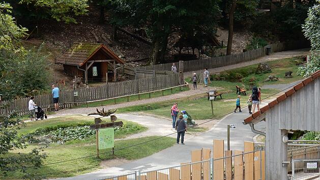 Blick in den Eingangsbereich des Wildparks Foto: Reinhard L&ouml;wisch