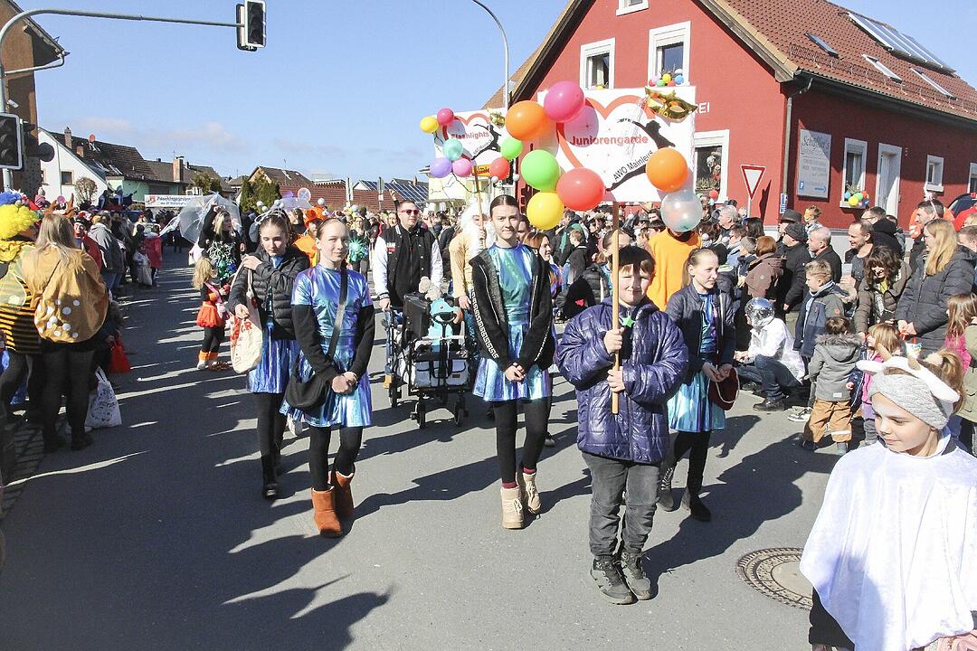 Fasching 2025 in Stadtsteinach!