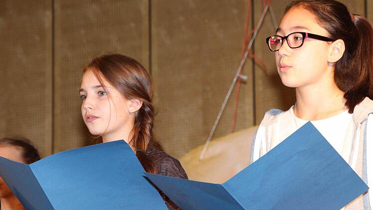 Die Schüler des Philipp-Schönborn-Gymnasiums Münnerstadt begeisterten bei ihrem Sommerkonzert mit Musik und Gesang. Foto: Dieter Britz