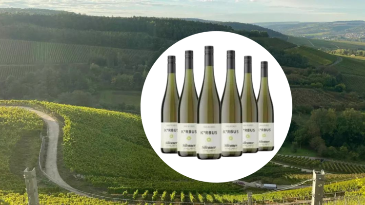 Bei Ab Hof Wiese wird die Vielfalt von Weinen gefördert - sichere dir jetzt Qualitätsweine aus Franken, wie beispielsweise den Silvaner als fränkischen Klassiker.