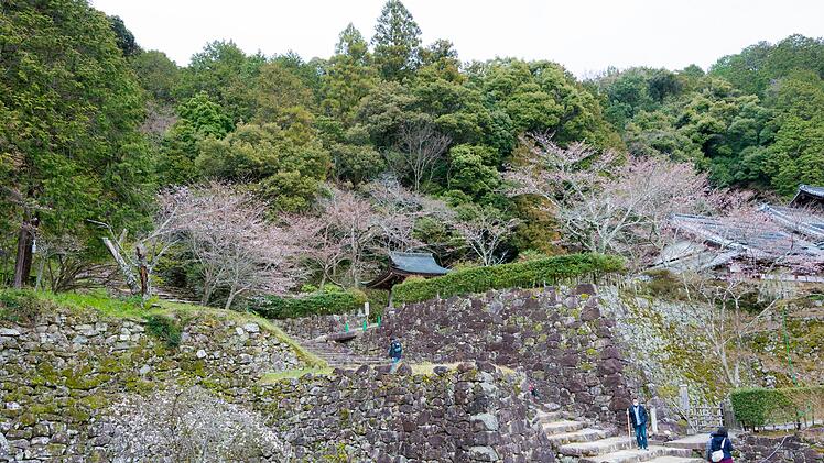 Von der gro&szlig;en Burg Azuchi sind seit ihrer Zerst&ouml;rung nur noch die teilweise mehrere Meter hohen Mauern &uuml;brig. "Terra X" zeigt, wie Forscherinnen und Forscher das Aussehen aufwendig rekonstruieren.