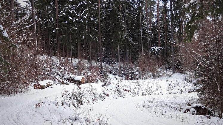 An den "Drei Buchen". Foto: Dieter Seyfarth