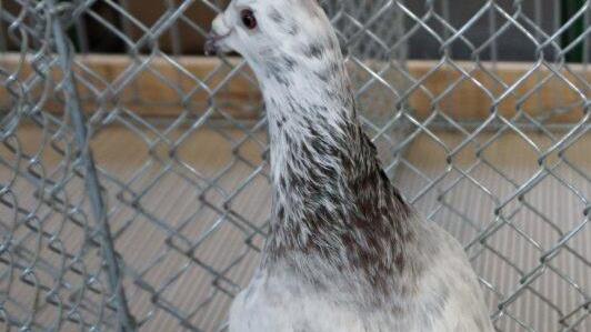 Foto: Richard Sänger