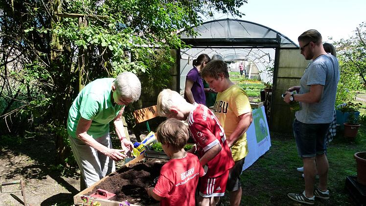Anne Kurlemann topfte mit Kindern Salatpflanzen ein.