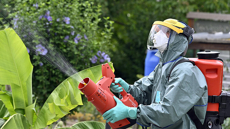 Pestizid-Einsatz gegen Japankäfer in der Schweiz