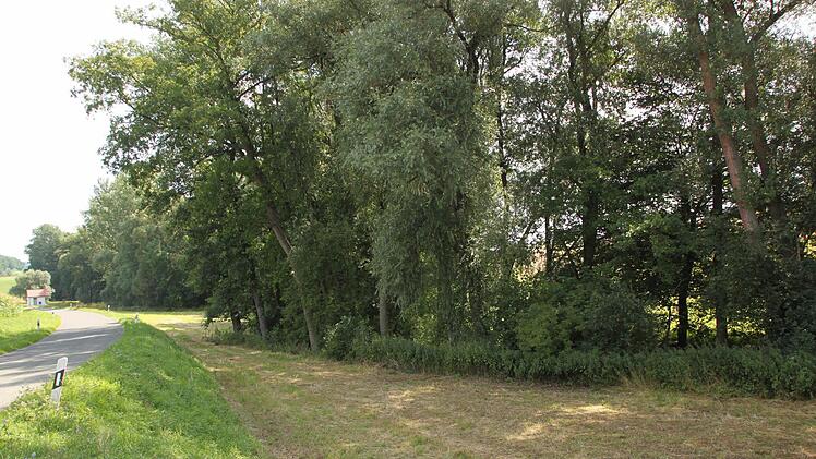 Die Gewässer dritter Ordnung - hier der Püchitzbach - sollen durch das Gewässerentwicklungskonzept geschützt oder, wo möglich, in einen naturnahen Zustand zurückversetzt werden. Foto: Matthias Einwag