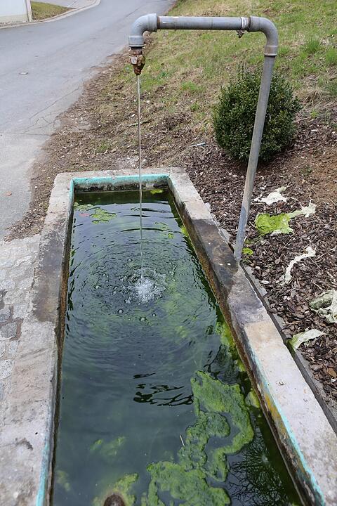 SoS; Neuses-Poxstall; Gemeindeseite; Foto: Barbara Herbst