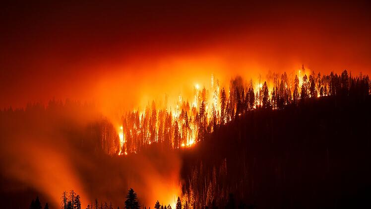 Waldbrand in Kalifornien