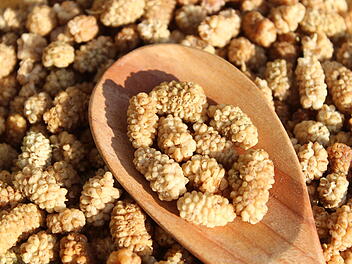 Bio-Maulbeeren der ReformKontor GmbH & Co. KG zurückgerufen Bio-Maulbeeren der ReformKontor GmbH & Co. KG zurückgerufen