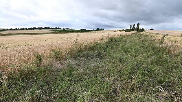 Feld