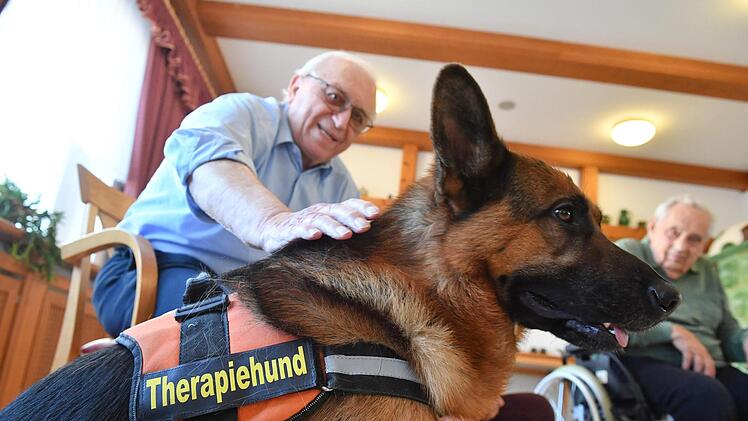 Therapiehund Aramis bei den Senioren im Kulmbacher WohnstiftFoto: Ronald Rinklef