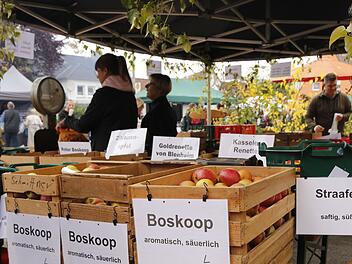 Apfelmarkt in Sch&ouml;nbrunn: Traditionelles Handwerk und K&ouml;stlichkeiten