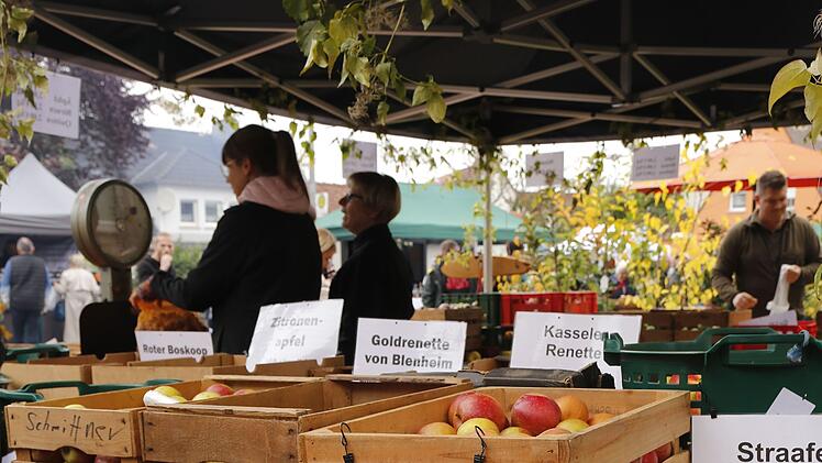 Apfelmarkt in Sch&ouml;nbrunn: Traditionelles Handwerk und K&ouml;stlichkeiten