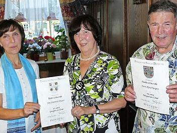 Franziska und Alfred Neupert freuten sich bei der Halbjahresfeier über die Verleihung der Goldenen FSB-Ehrennadel für 40-jähriges Singen im Chor des Gesangvereins "Liederkranz" Stadtsteinach. Unser Bild zeigt (von links) Vorsitzende Renate Günther zusammen mit den beiden ausgezeichneten Aktiven. Foto: Klaus-Peter Wulf
