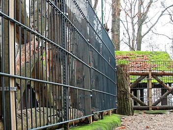 Die Gastronomiebetriebe im Kellerwald sollen absturzsichere Geländer erhalten. Schön sieht anders aus.  Foto: Josef Hofbauer
