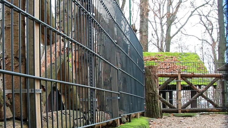 Die Gastronomiebetriebe im Kellerwald sollen absturzsichere Geländer erhalten. Schön sieht anders aus.  Foto: Josef Hofbauer