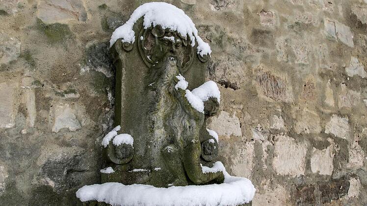 Winterimpressionen aus Coburg: Kleiner RosengartenFoto: Jochen Berger