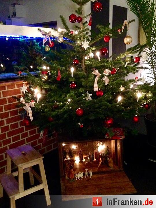 Weihnachten in Franken: Die Christbäume unserer Leser