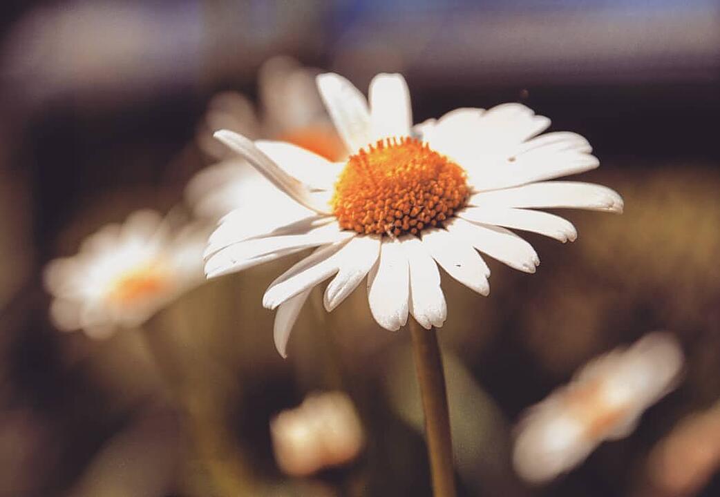 Sommer!