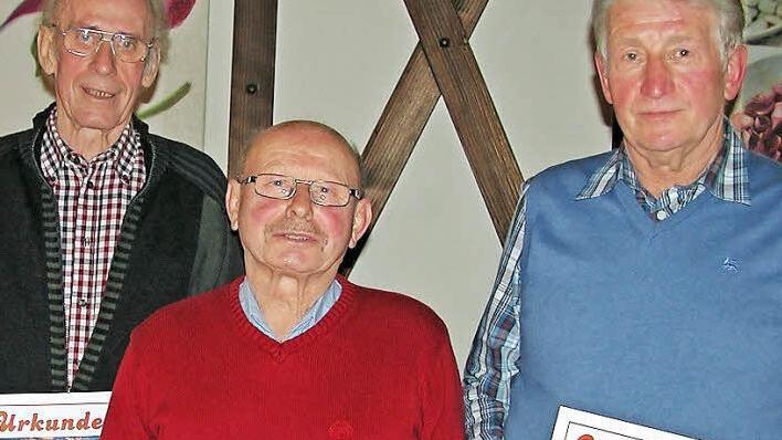 Verbandsmedaillen sicherten sich in der Flugsaison 2015: Walter Muff (links, Gold), Gerhard Neugebauer (Mitte, Bronze) und Walter Koch (rechts, Gold).  Foto: Klaus Oelzner