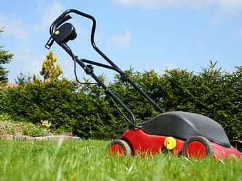 Vertikutieren: So l&uuml;ften Sie Ihren Rasen durch