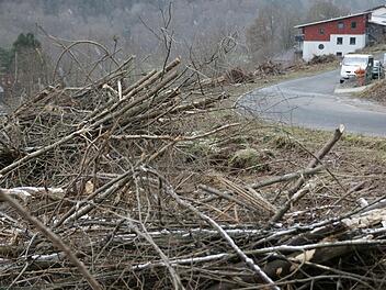 Links und rechts der Stra&szlig;e Langeller wurden teils jahrelang gewucherte B&auml;ume und Str&auml;ucher entfernt.