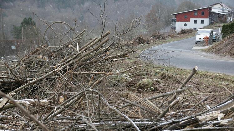 Links und rechts der Stra&szlig;e Langeller wurden teils jahrelang gewucherte B&auml;ume und Str&auml;ucher entfernt.