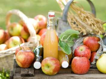 Die Streuobstwiesen in Bayern laden dazu ein die Seele baumeln zu lassen.