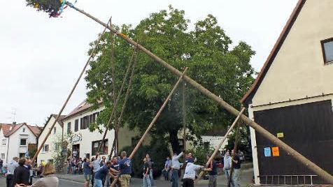 Mit Muskelkraft wurde der Baum in die Senkrechte gerbacht.  Foto: maw