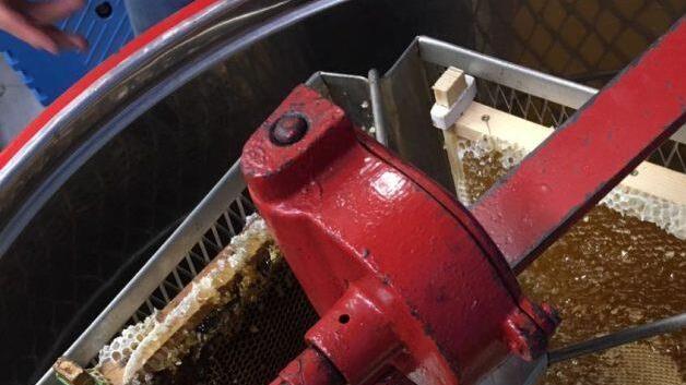 Die Jungimker aus Wallenfels schleuderten nun zum ersten Mal ihren eigenen Honig. 75 Kilogramm kamen am Ende heraus. Die Geräte konnten sie gebraucht von einem ehemaligen Imker kaufen.  Fotos: privat