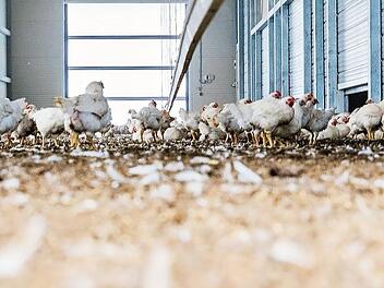 Fotos: Marian Hamacher