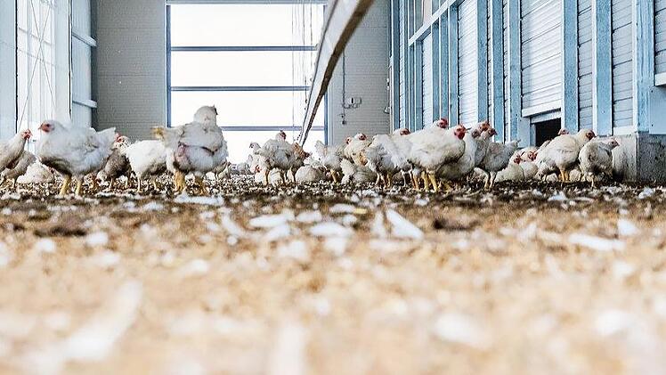 Fotos: Marian Hamacher