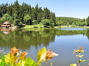 Der Ölschnitzsee im Frankenwald Foto: Henry Czauderna - stock.adobe.com