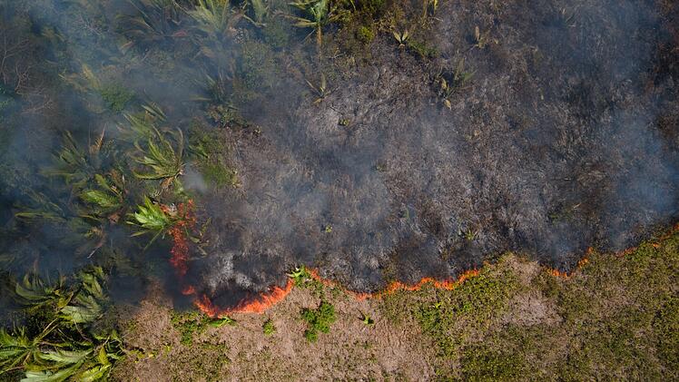 Feuer im Amazonas-Gebiet