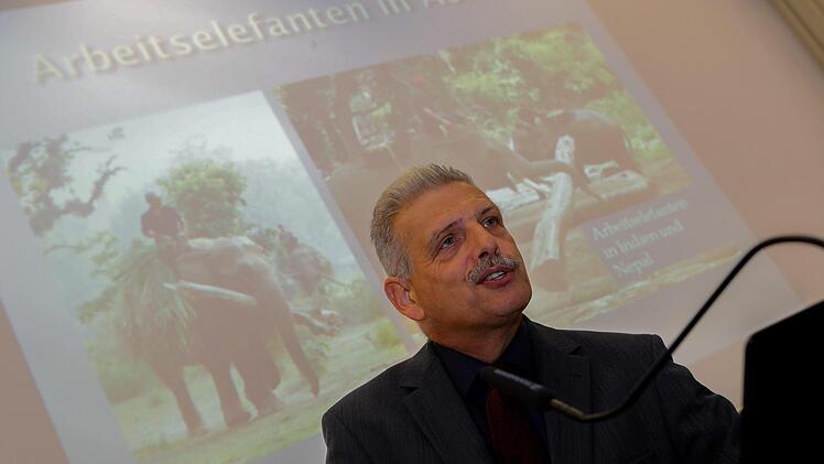 Der Bamberger Geschichtsprofessor Klaus van Eickels während der Vorlesung Foto: Matthias Hoch