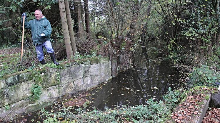 Im Dezember 2016 informierten in Albersdorf Biberberater Wolfgang Lappe und Andrea Eberlein, Fachkraft für Naturschutz beim Landratsamt Haßberge, die Bürger über den Nager.Archivbild: Helmut Will