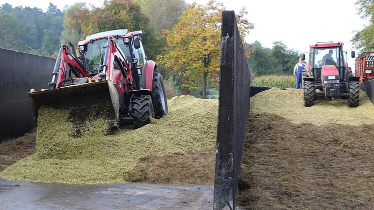 Impressionen von der Maisernte bei Ebensfeld. Foto: Markus Häggberg