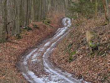 Der Waldweg "Einbühl" in Richtung Steinbruch soll heuer ausgebaut werden. Josef Hofbauer