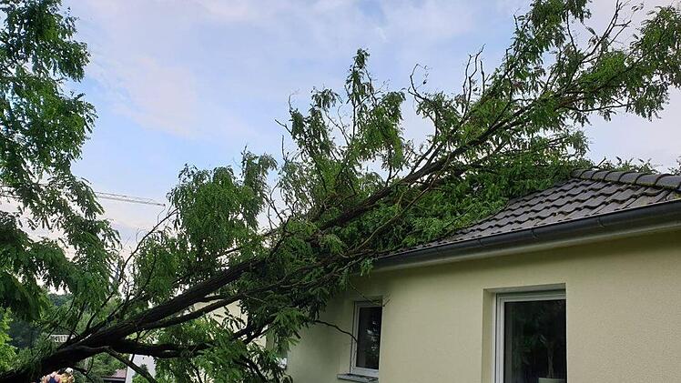 Etliche Bäume verloren im Maintal Zweige und Äste am Gewitter-Samstag, hier in Haßfurt fiel ein Baum auf ein Haus.